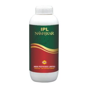 IPL-NAMASKAR